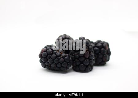 Four blackberries on white background, isolated. Freshly picked forest fruit with droplets of dew on it. Stock Photo