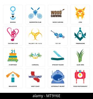 Set Of 16 simple editable icons such as food photography, astronaut helmet, west coast, realestate, aloe vera, seaman, culture club, 21 birthday, mowe Stock Vector