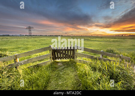 View from backyard of farm over agricultural landscape of dutch countryside in Groningen Netherlands Stock Photo
