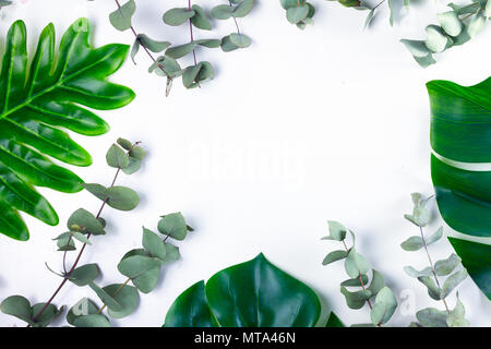 green tropical leaves frame over white background Stock Photo