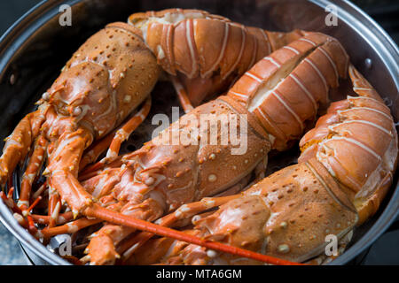 steam lobster in the iron steamer Stock Photo