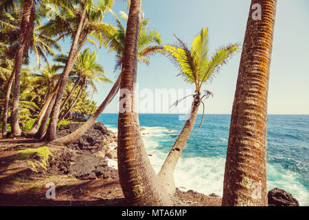 Amazing hawaiian beach Stock Photo