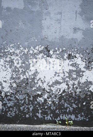 Vintage textures: old wallpaper, peeling paint, brick wall and layers of different colorful backgrounds Stock Photo