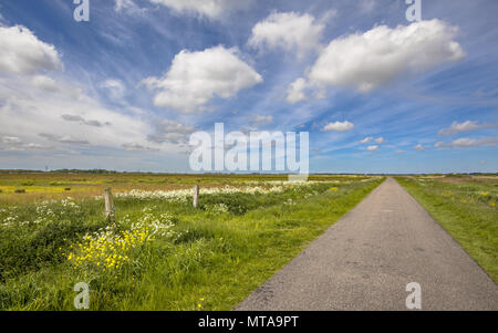 Small secondary rural road in dutch polder landscape with green meadows and blue sky Stock Photo