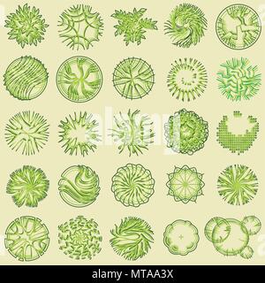 Trees and bush item top view for landscape design, vector icon Stock ...