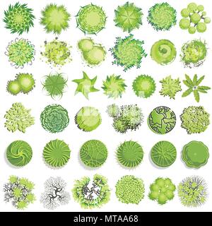Trees and bush item top view for landscape design, vector icon Stock ...