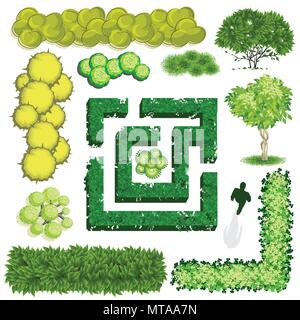 Trees and bush item top view for landscape design, vector icon Stock ...
