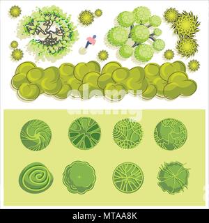 Trees and bush item top view for landscape design, vector icon Stock ...