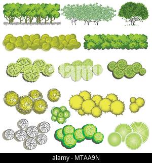 Trees and bush item top view for landscape design, vector icon Stock ...