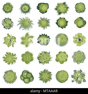 Trees and bush item top view for landscape design, vector icon Stock ...