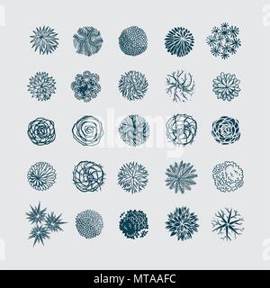 Trees top view. Different plants and trees vector set for architectural or landscape design. View from above Stock Vector