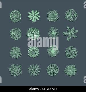 Trees top view. Different plants and trees vector set for architectural or landscape design. View from above Stock Vector