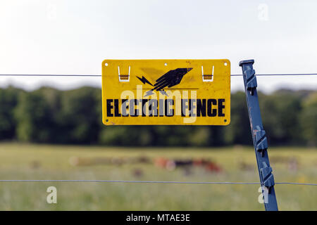 An electric fence in a field. Electrified fence, electric barrier, agricultural fencing. Stock Photo
