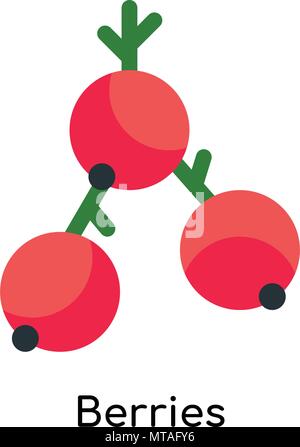 Berries icon isolated on white background for your web and mobile app design Stock Vector