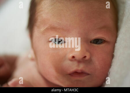 Macro close-up portrait of newborn with smooth skin Stock Photo