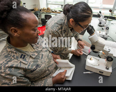 U.S. Air Force Captains Michele Balihe (left) and Caroline Brooks (right), USAF School of Aerospace Medicine Public Health Education Division students, observe through a microscope a medically significant fly of the family Diptera inside the entomology lab at the 88th Aerospace Medicine Squadron, Wright-Patterson Air Force Base, Ohio, April 21, 2017. The 88th AMDS students learn how to identify medically significant insects in their environment for proper risk mitigation to keep Airmen safe. Stock Photo