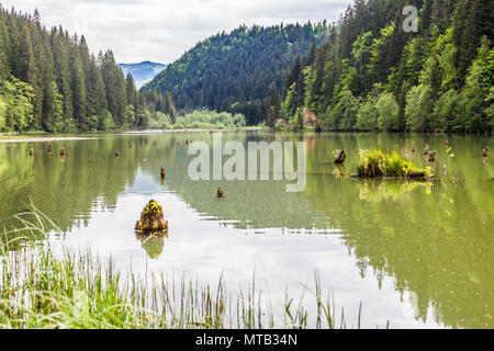 The beautiful Gyilkos-tó and Békási-szoros Stock Photo