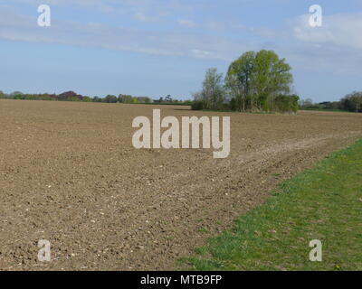 Lanscape: view of a field with a tree, against a cloudy blue skyline Stock Photo