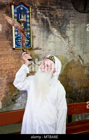HAIFA - APRIL 22: Jewish Pesach blowing in 'Shofar' during a memorial on April 22 2012 in Elijah's Cave, Haifa , Israel.An orthodox religious Jew wear Stock Photo