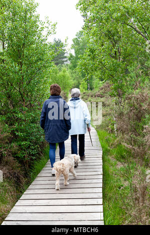 Two people walking a tibetan terrier dod on a board walk n a nature reserve on Thursley common Surrey Stock Photo