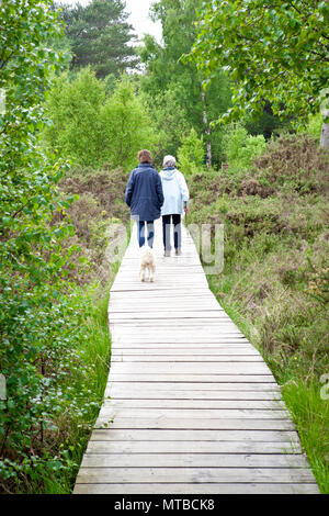 Two people walking a tibetan terrier dod on a board walk n a nature reserve on Thursley common Surrey Stock Photo