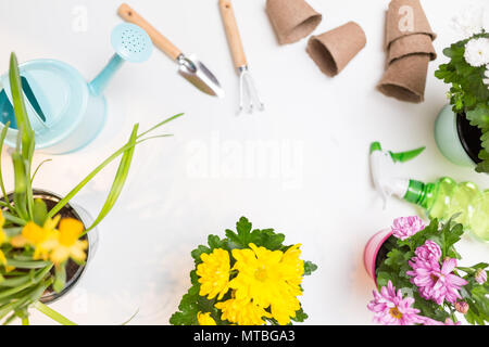 Photo of flowers in pots, watering cans, shovel, rake on empty white background. Stock Photo