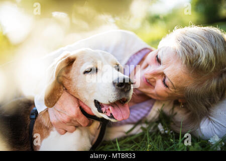 Senior woman with dog in spring nature, resting. Stock Photo