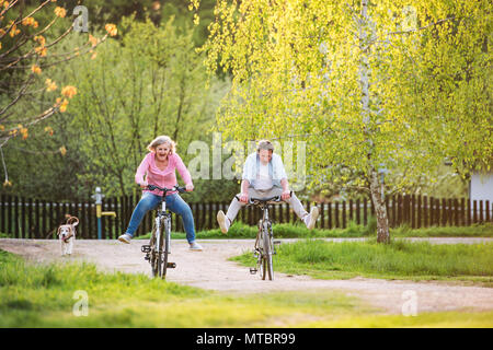 Beautiful senior couple with bicycles outside in spring nature. Stock Photo