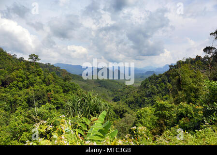 Aerial View Of Khao Sok National Park Cheow Lan Dam Lake In Surat Thani 