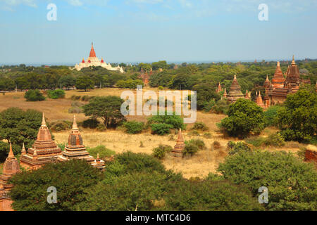 Landscape with pagoda and temples in Bagan Stock Photo
