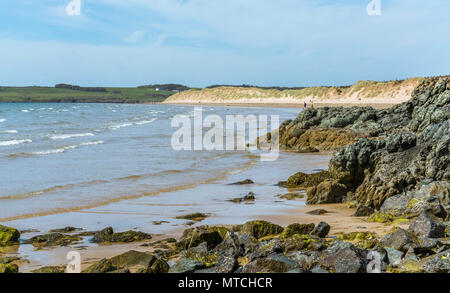 UK, Anglesey, Newborough. 19th May 2018. A view towards Newborough beach and Malltraeth from Llanddwyn Island.. Stock Photo