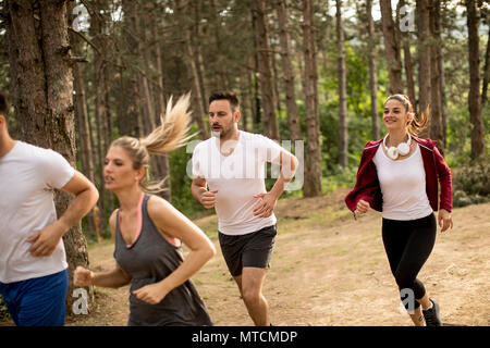 Group of young people run a marathon through the forest Stock Photo