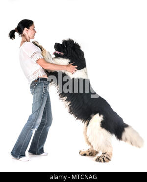 newfoundland dog and woman in front of white background Stock Photo