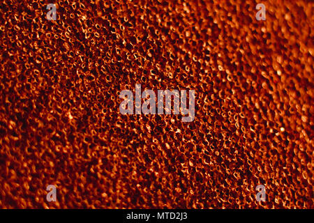 texture colored ethylene vinyl Acetate foam sheets background Stock Photo