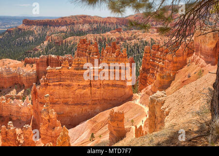 Looking over the Rim at Sunset Point in Bryce National Park Stock Photo