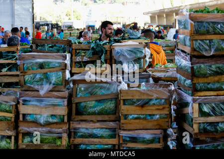 SÃO PAULO, SP - 29.05.2018: MOVIMENTO NO CEAGESP NESTA TERÇA FEIRA - After  9 days of truck stoppage, vegetable and vegetable loading begins to be  replaced in the boxes of Ceagesp, west