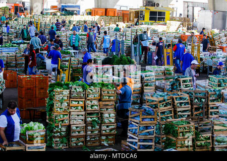 SÃO PAULO, SP - 29.05.2018: MOVIMENTO NO CEAGESP NESTA TERÇA FEIRA - After  9 days of truck stoppage, vegetable and vegetable loading begins to be  replaced in the boxes of Ceagesp, west