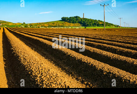 East Lothian, Scotland, United Kingdom, 29th May 2018.  Evening sunshine lighting up the agricultural countryside. The evening sunlight creates shadows in the deep ridges of a ploughed field. The Victorian hilltop monument to Earl of Hopetoun is a distinctive landmark in the distance Stock Photo