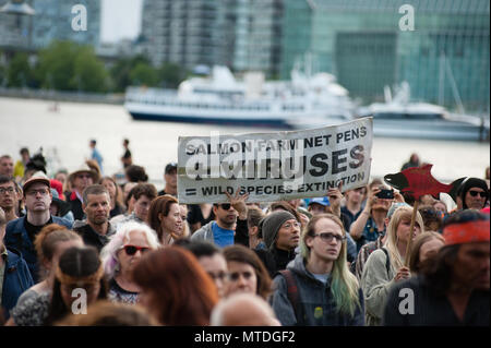 Vancouver, British Columbia, Canada, May 29 2018. Demonstration opposing construction and federal purchase of Kinder-Morgan's trans-mountain pipeline at Creekside Park. Credit: Patrick Gillin/Alamy Live News Stock Photo