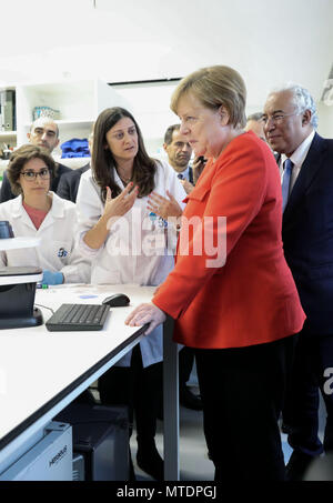 Lisbon, Portugal. 30 May 2018, German Chancellor Angela Merkel and Portugese President António Costa (R) speaking to students at the institute for health research and innovation at the University of Porto. Merkel is in Portugal for the first time since the end of Euro crisis. Photo: Michael Kappeler/dpa Credit: dpa picture alliance/Alamy Live News Stock Photo