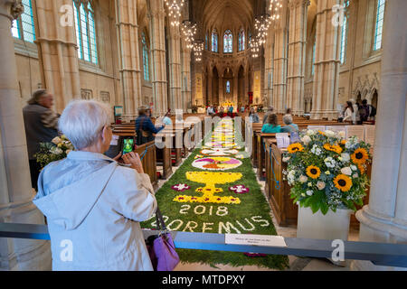 A carpet of flowers in the central aisle of Arundel Cathedral in ...