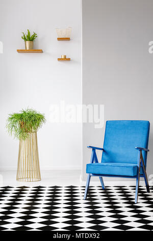 Real photo of a blue armchair standing next to a plant in a white living room interior with checkered floor Stock Photo