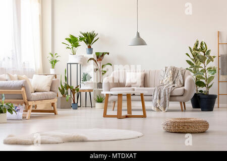 Pouf next to rug in bright living room interior with plants and beige couch. Real photo Stock Photo