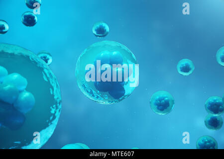 3D Rendering human or animal cells on blue background. Concept Early stage embryo Medicine scientific concept, Stem cell research and treatment Stock Photo