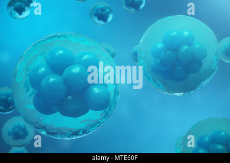 3D Rendering human or animal cells on blue background. Concept Early stage embryo Medicine scientific concept, Stem cell research and treatment Stock Photo