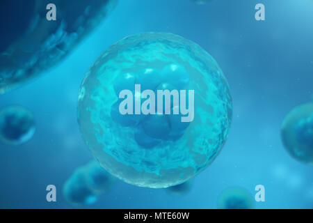 3D Rendering human or animal cells on blue background. Concept Early stage embryo Medicine scientific concept, Stem cell research and treatment Stock Photo