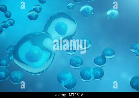 3D Rendering human or animal cells on blue background. Concept Early stage embryo Medicine scientific concept, Stem cell research and treatment Stock Photo