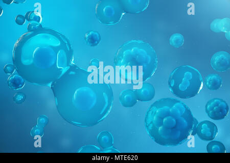 3D Rendering human or animal cells on blue background. Concept Early stage embryo Medicine scientific concept, Stem cell research and treatment Stock Photo