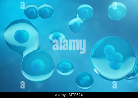 3D Rendering human or animal cells on blue background. Concept Early stage embryo Medicine scientific concept, Stem cell research and treatment Stock Photo