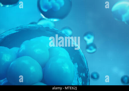 3D Rendering human or animal cells on blue background. Concept Early stage embryo Medicine scientific concept, Stem cell research and treatment Stock Photo